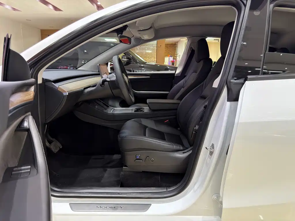 Tesla Model Y — миниатюра 5