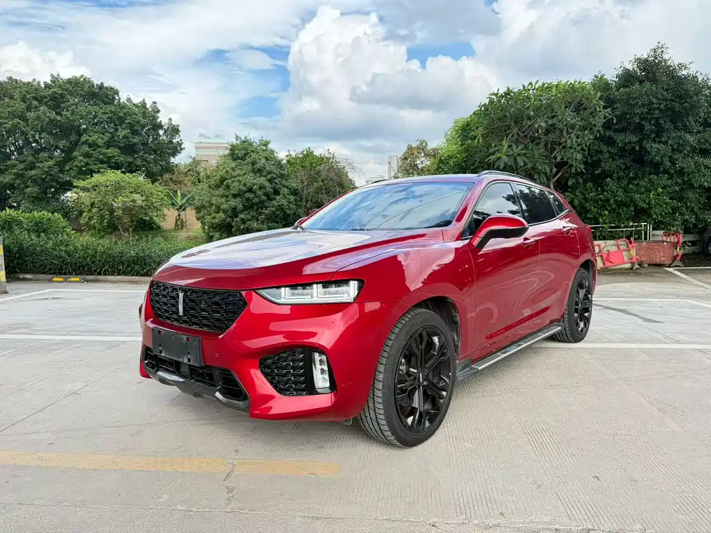 Купить Wey Wey VV7