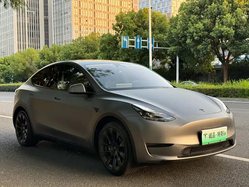 Tesla Model Y — миниатюра 7