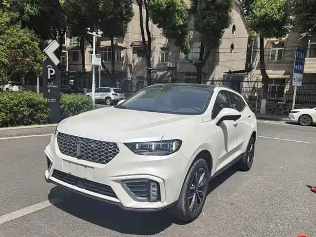 WEI PAI WEI BRAND VV5