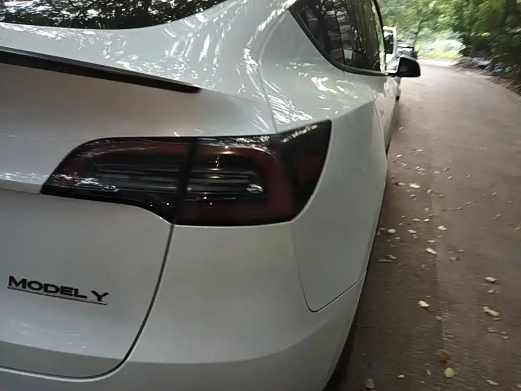 Tesla Model Y — миниатюра 8