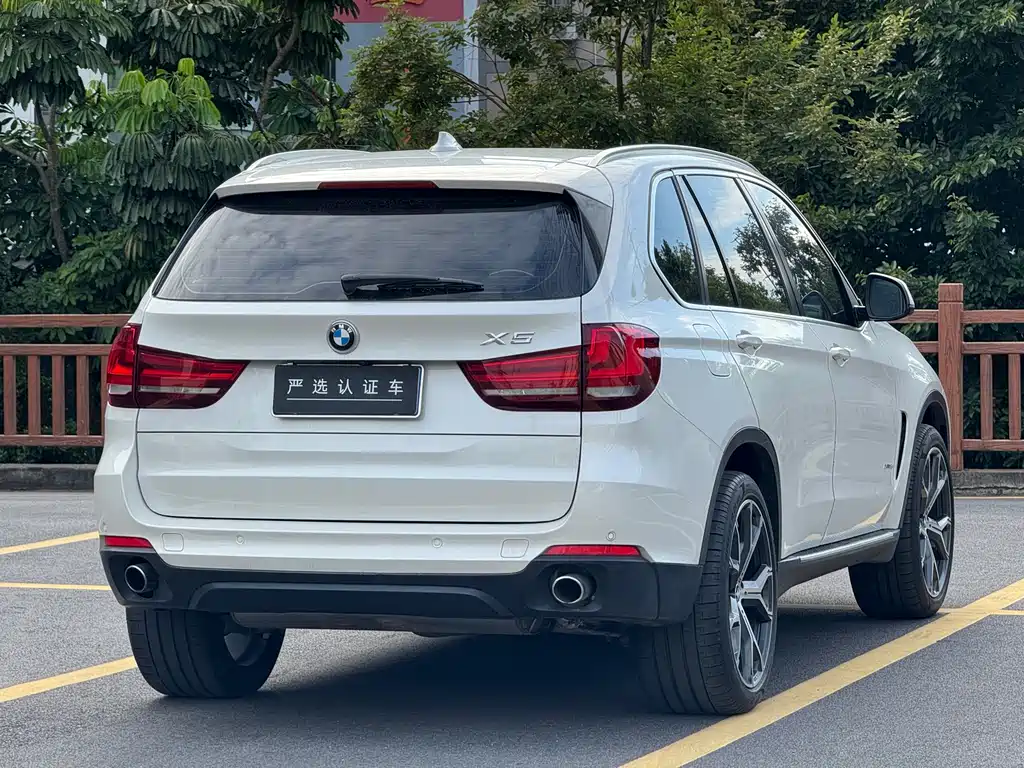 BMW X5 (Import) — миниатюра 6