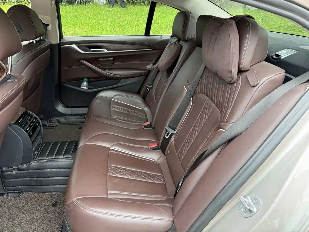 BMW 5 Series New Energy 530Le Luxury Package, фото 12