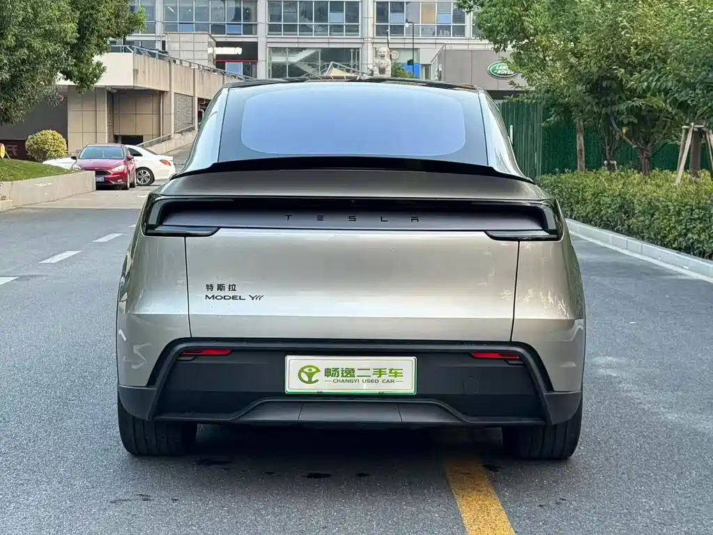 Tesla Model Y L — миниатюра 5