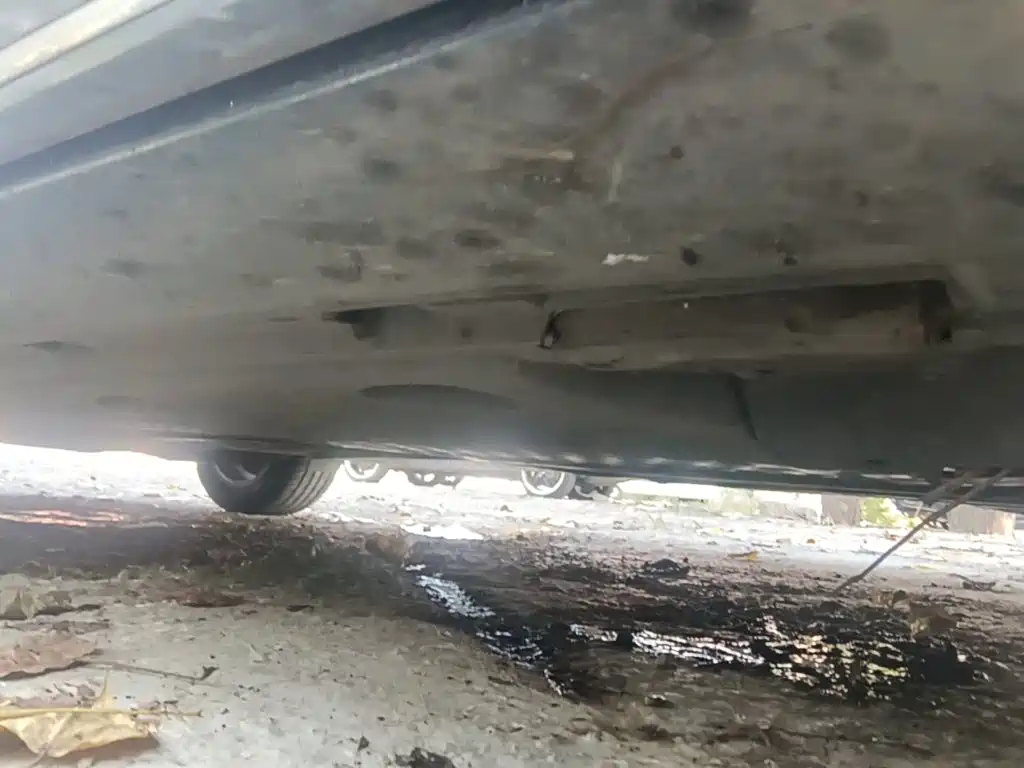 Volkswagen Magotan — миниатюра 2