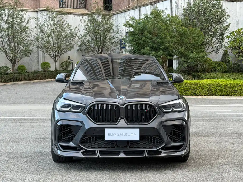 BMW X6 — миниатюра 2