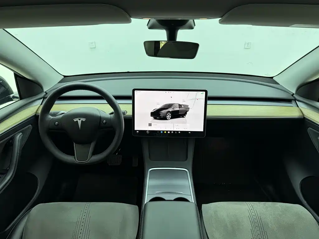 Tesla Model Y — миниатюра 13