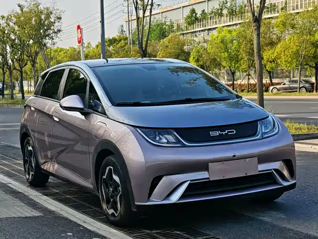 2021 BYD Dolphin