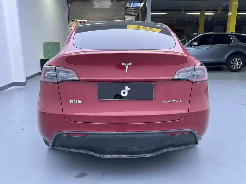 Tesla Model Y — миниатюра 12