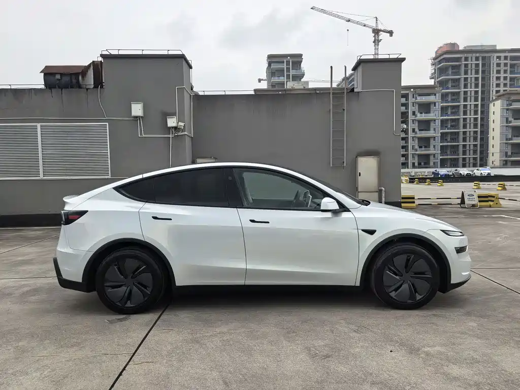 Tesla Model Y — миниатюра 4