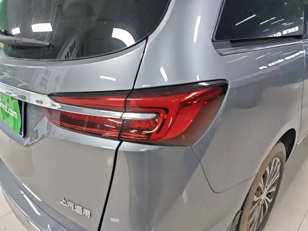 Buick GL8 — миниатюра 8