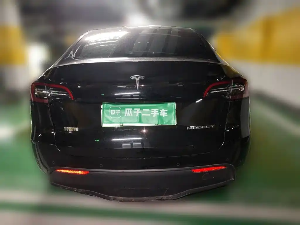 Tesla Model Y — миниатюра 3