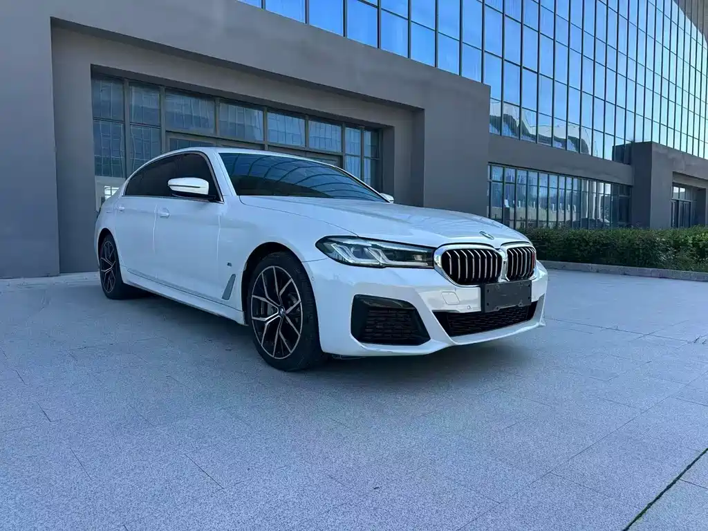 BMW 5 Series — миниатюра 3