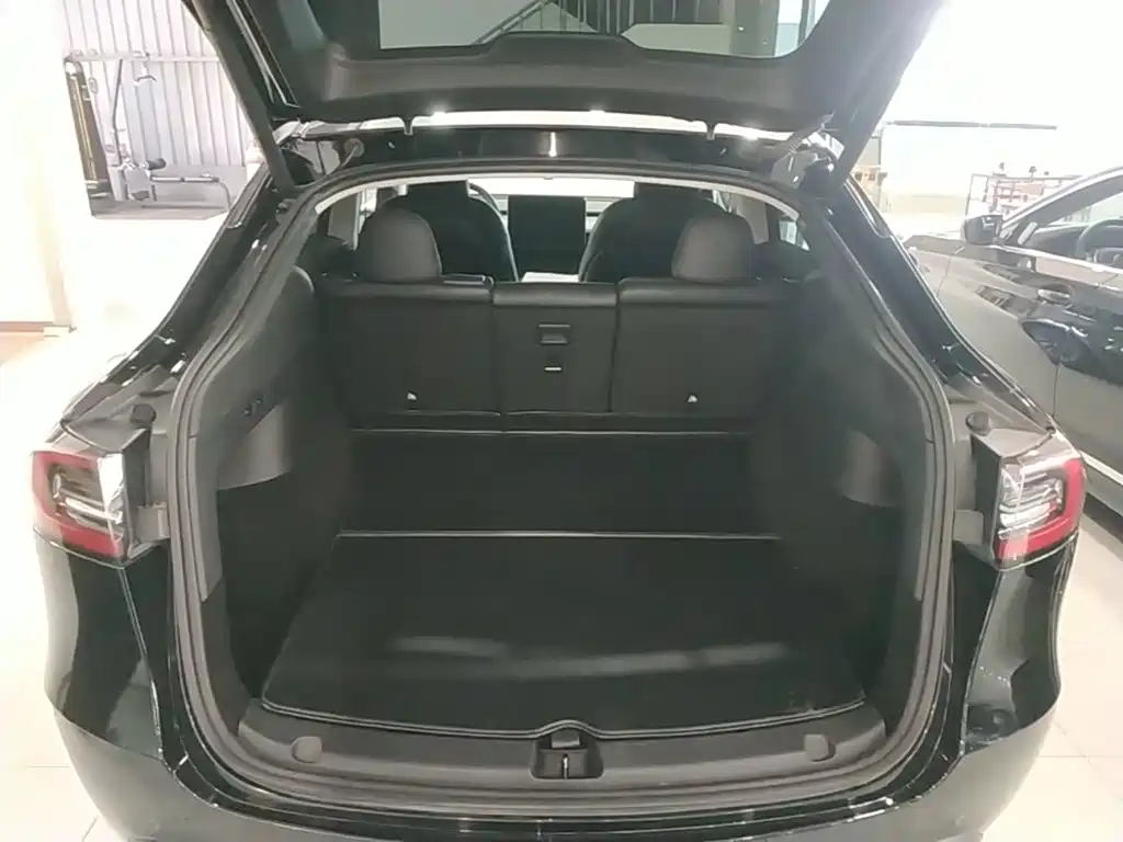 Tesla Model Y — миниатюра 19
