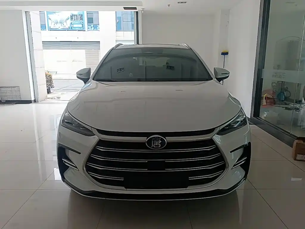 BYD Tang New Energy — миниатюра 3