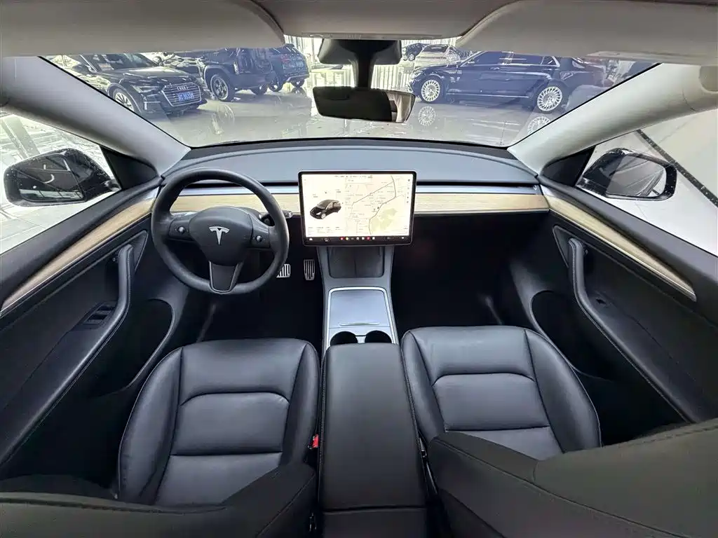 Tesla Model Y — миниатюра 5