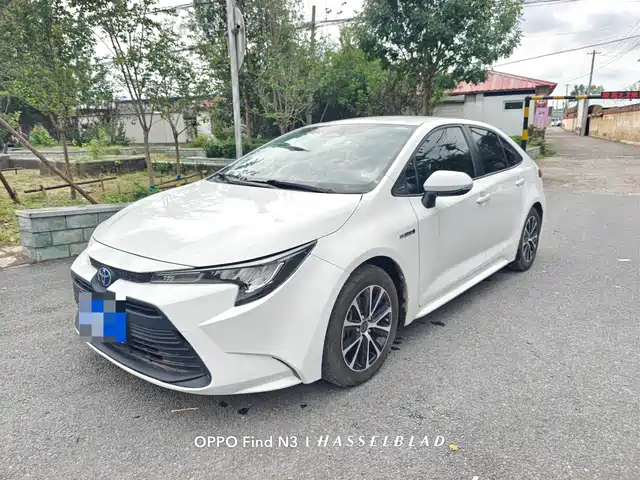 TOYOTA LEI LING 2023