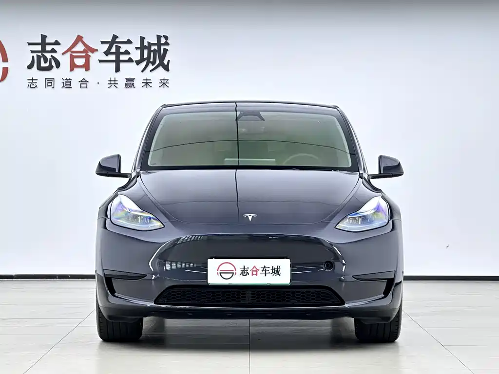 Tesla Model Y — миниатюра 10