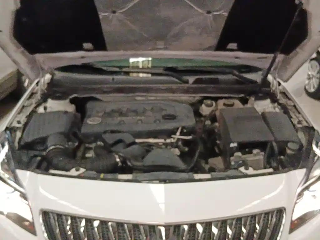 Buick Regal — миниатюра 20