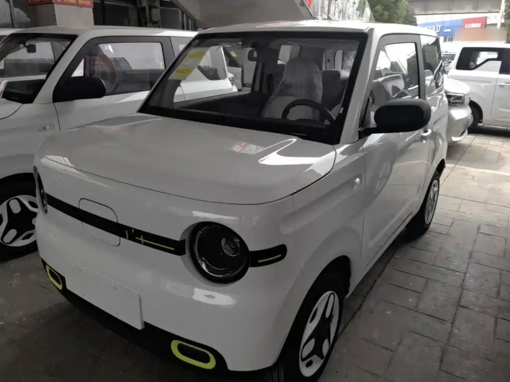 BYD Panda 2025 Panda mini 210km Energetic Bear