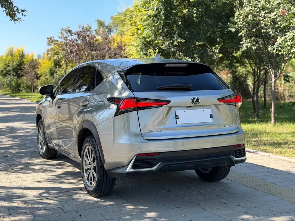 Lexus NX — миниатюра 23