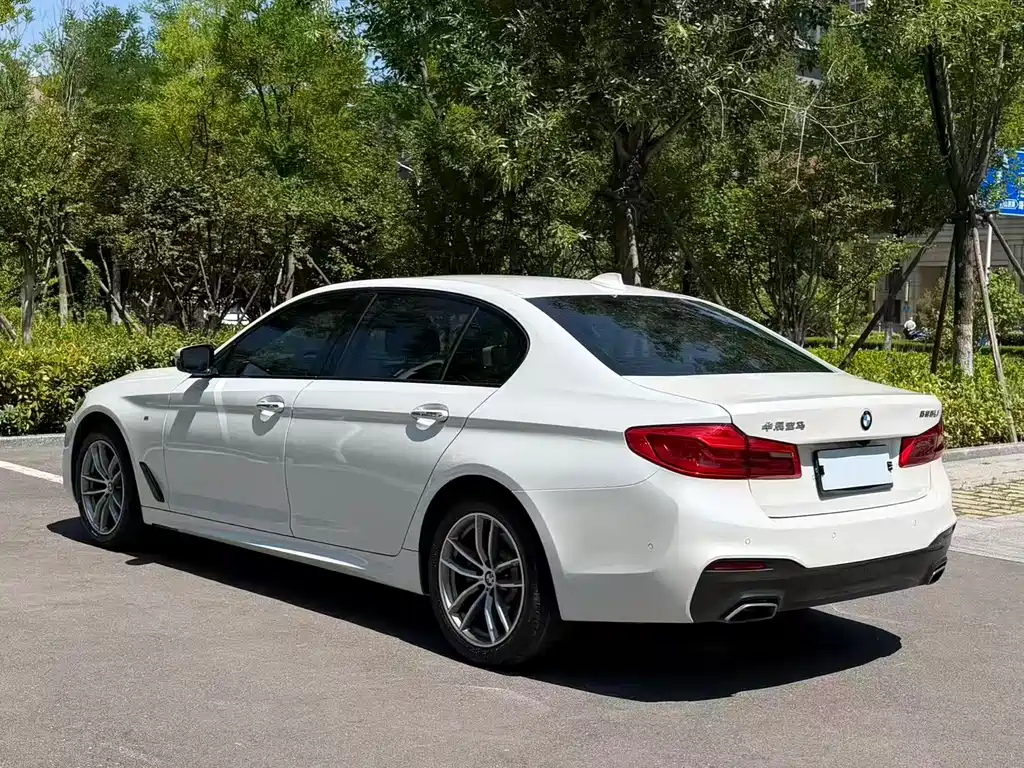 BMW 5 Series 5 2018 525Li M Sport