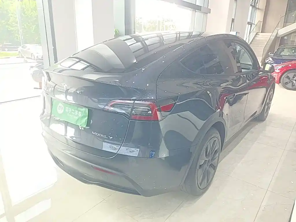 Tesla Model Y — миниатюра 7