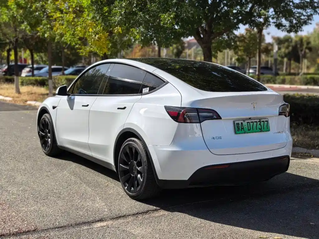 Tesla Model Y — миниатюра 7