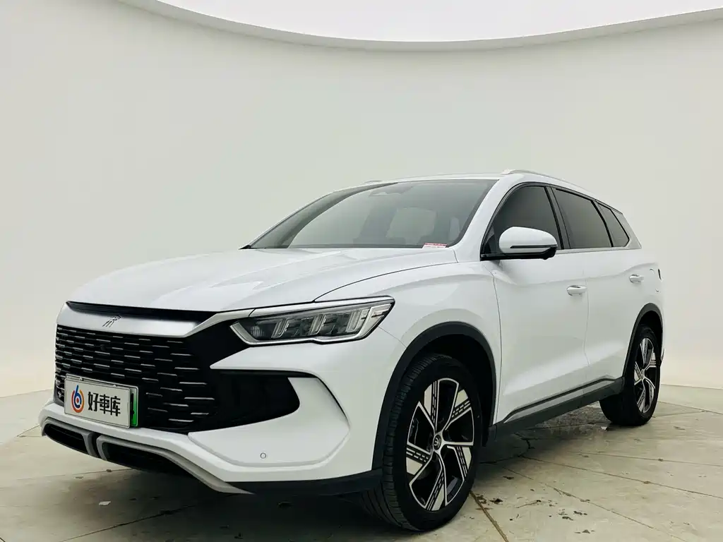 Byd Pro New Energy 2024