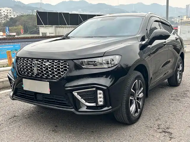 WEI PAI WEI BRAND VV5