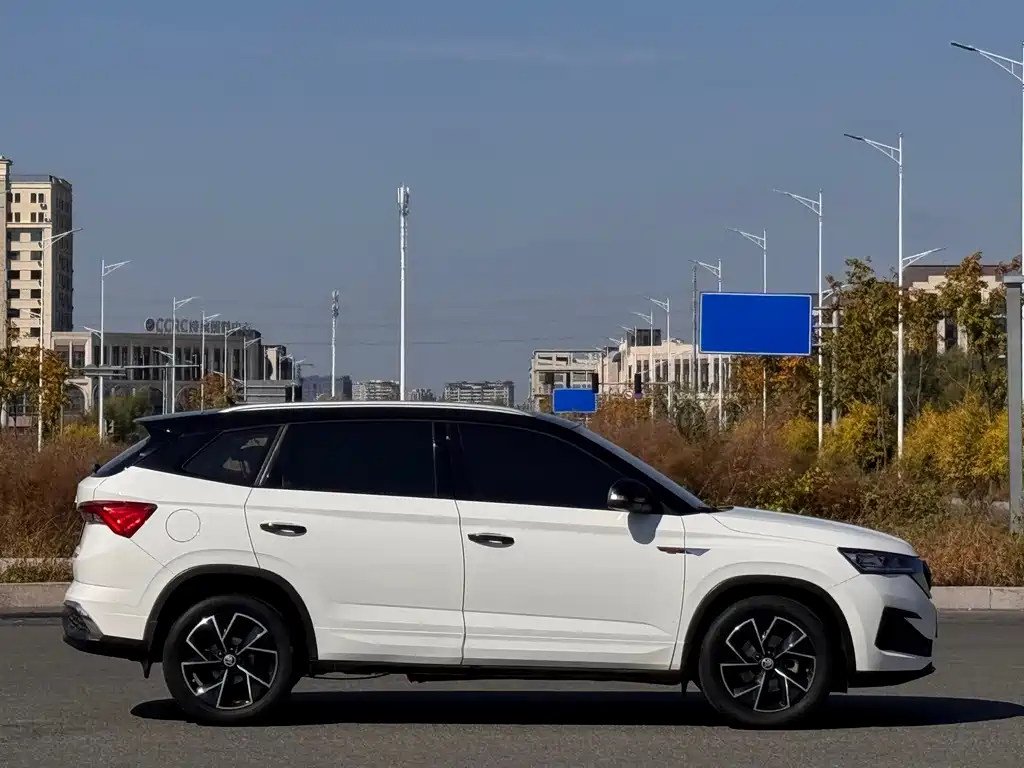 Skoda Kamiq — миниатюра 8