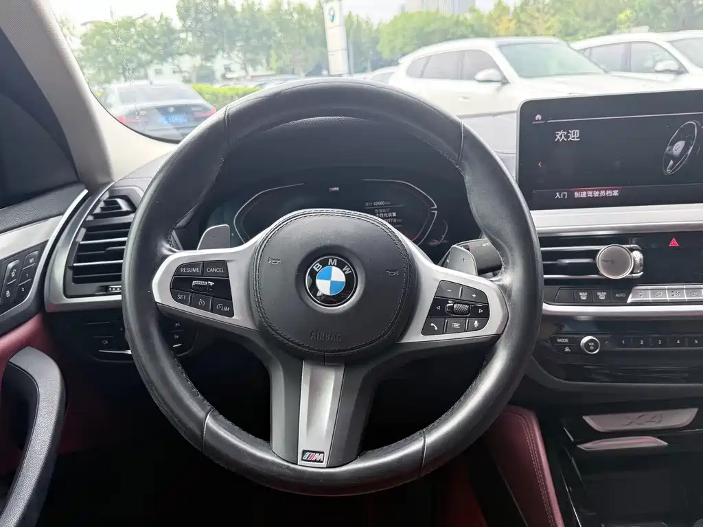 BMW X4 — миниатюра 9