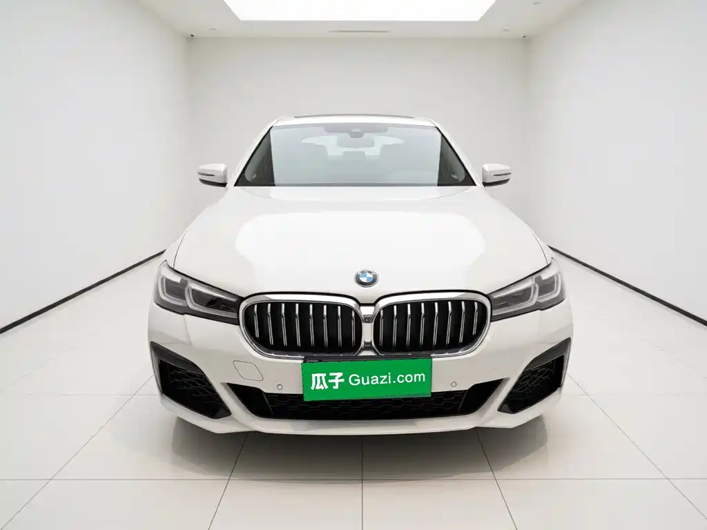 BMW 5 Series — миниатюра 2