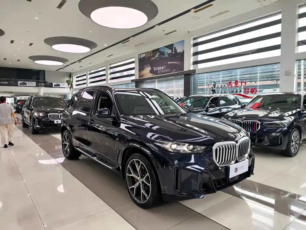 BMW X5 — миниатюра 3