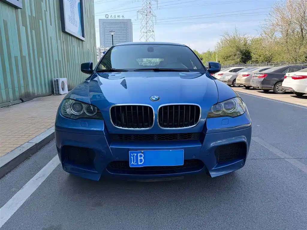 BMW X6 M 2010 X6 M