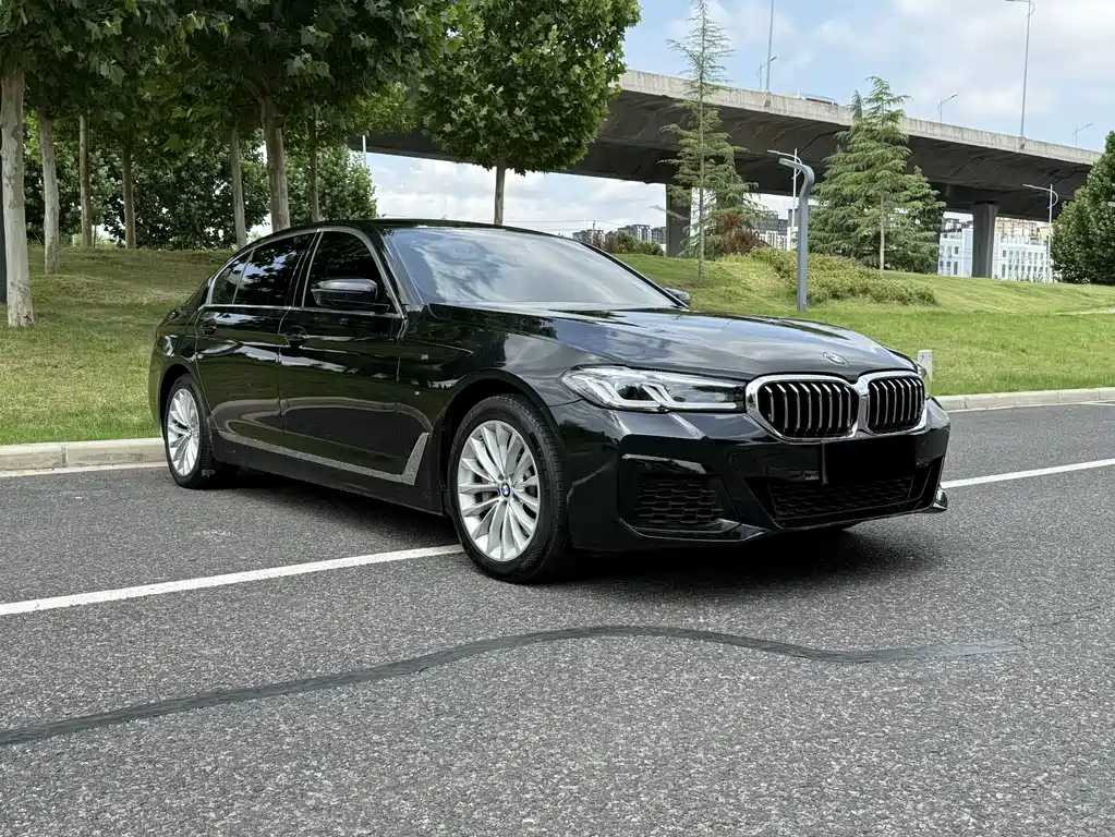 BMW 5 Series — миниатюра 8