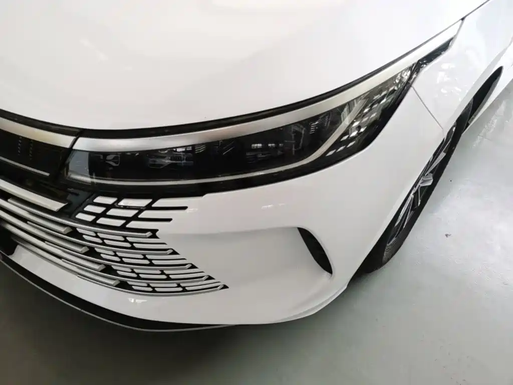 BYD Destroyer 05 — фотографии объявления, Фото 25