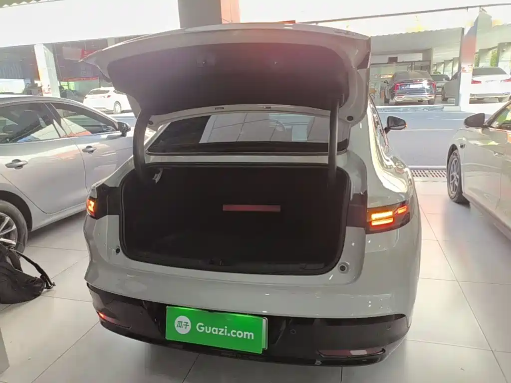 Leapmotor Leapmotor B01 — миниатюра 19
