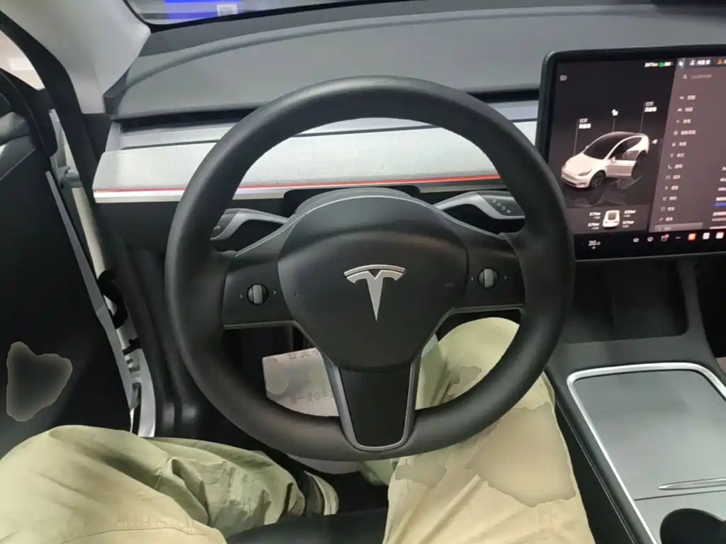 Tesla Model Y — миниатюра 11