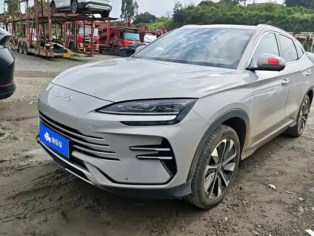 BYD 宋PLUS新能源