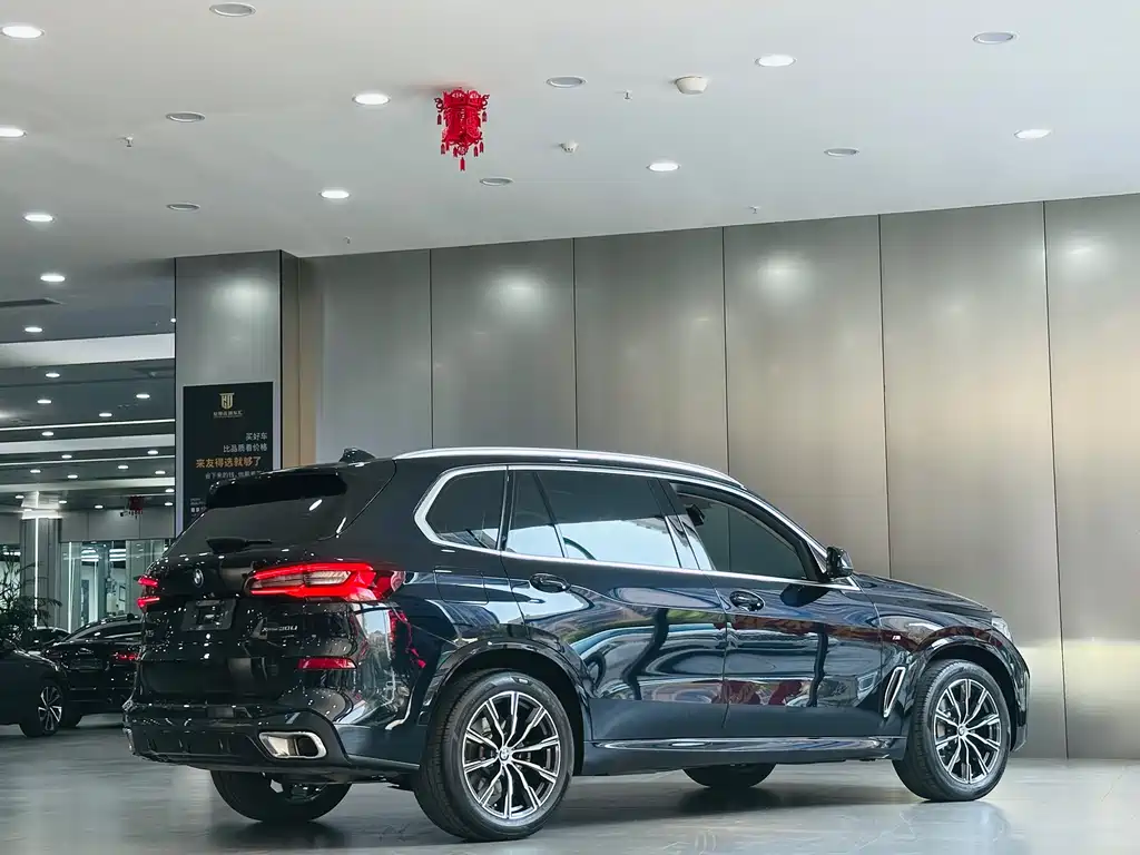 BMW X5 — миниатюра 7