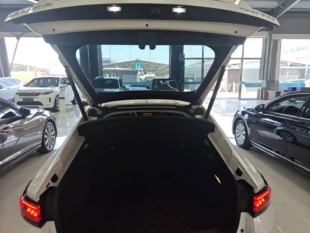 Volkswagen Lamando — миниатюра 19