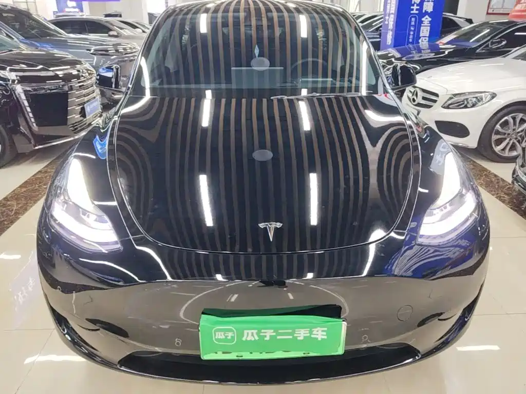 Tesla Model Y — миниатюра 3