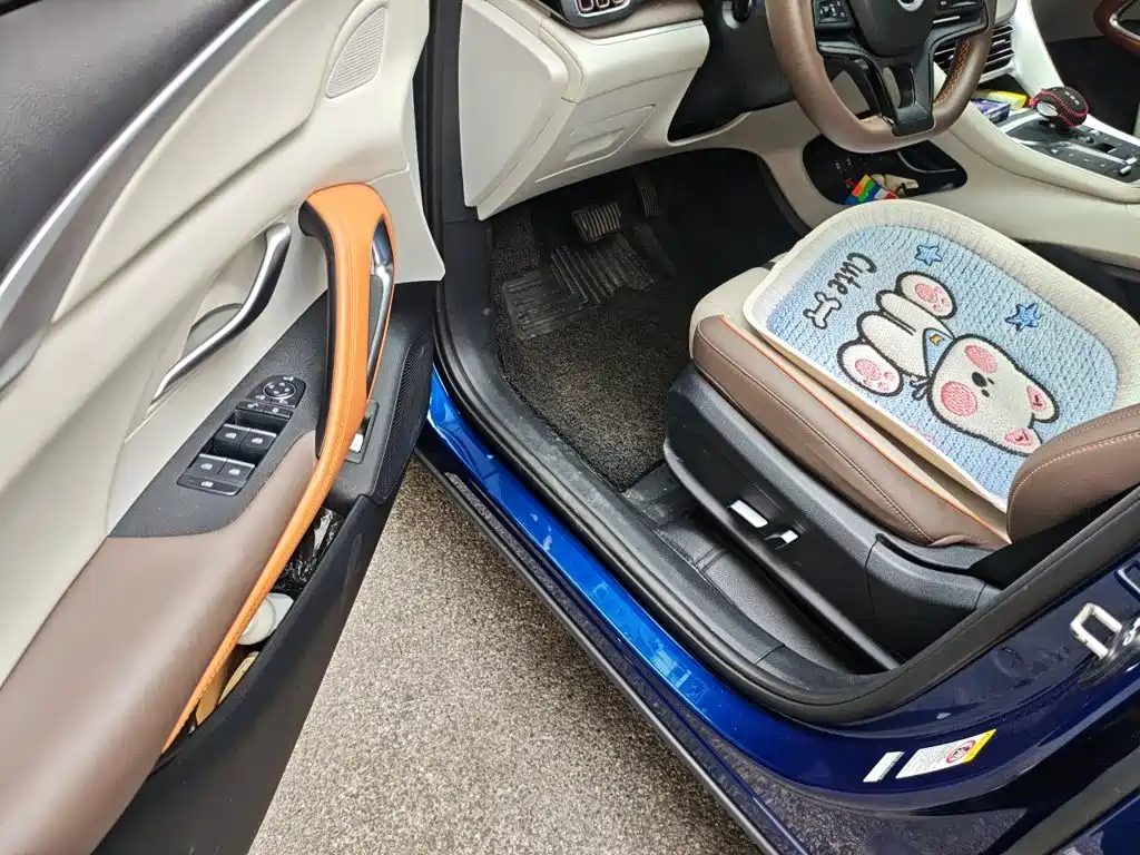 BYD Pro New Energy — миниатюра 13