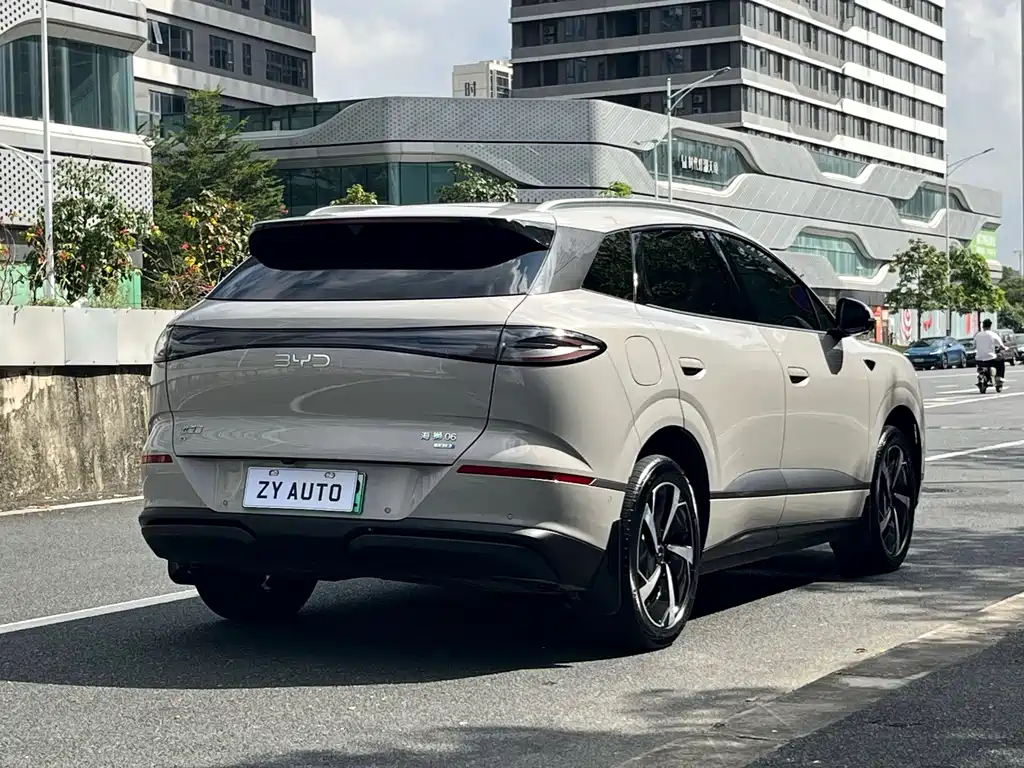 BYD Sealion 06 — миниатюра 6