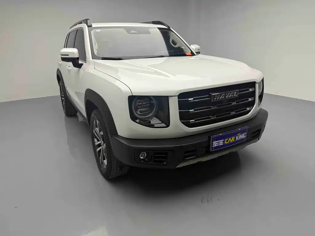 HAVAL BIG DOG