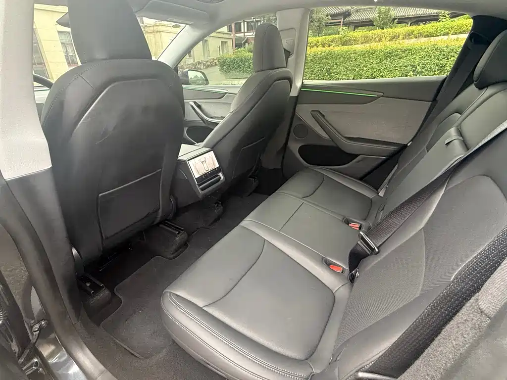 Tesla Model Y — миниатюра 8