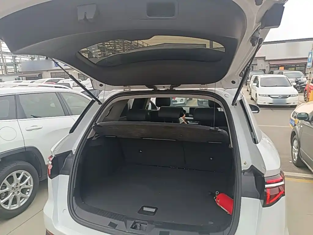 BYD Pro — миниатюра 19