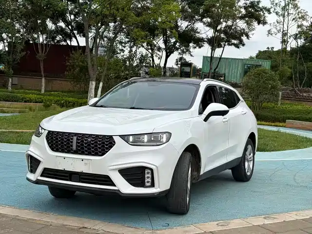 2019 Wey VV5