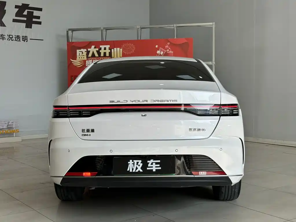 BYD Destroyer 05 — миниатюра 6